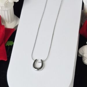Horseshoe Pendant Stainless Steel Necklace Silver Snake Chain 16–18” Lucky Charm